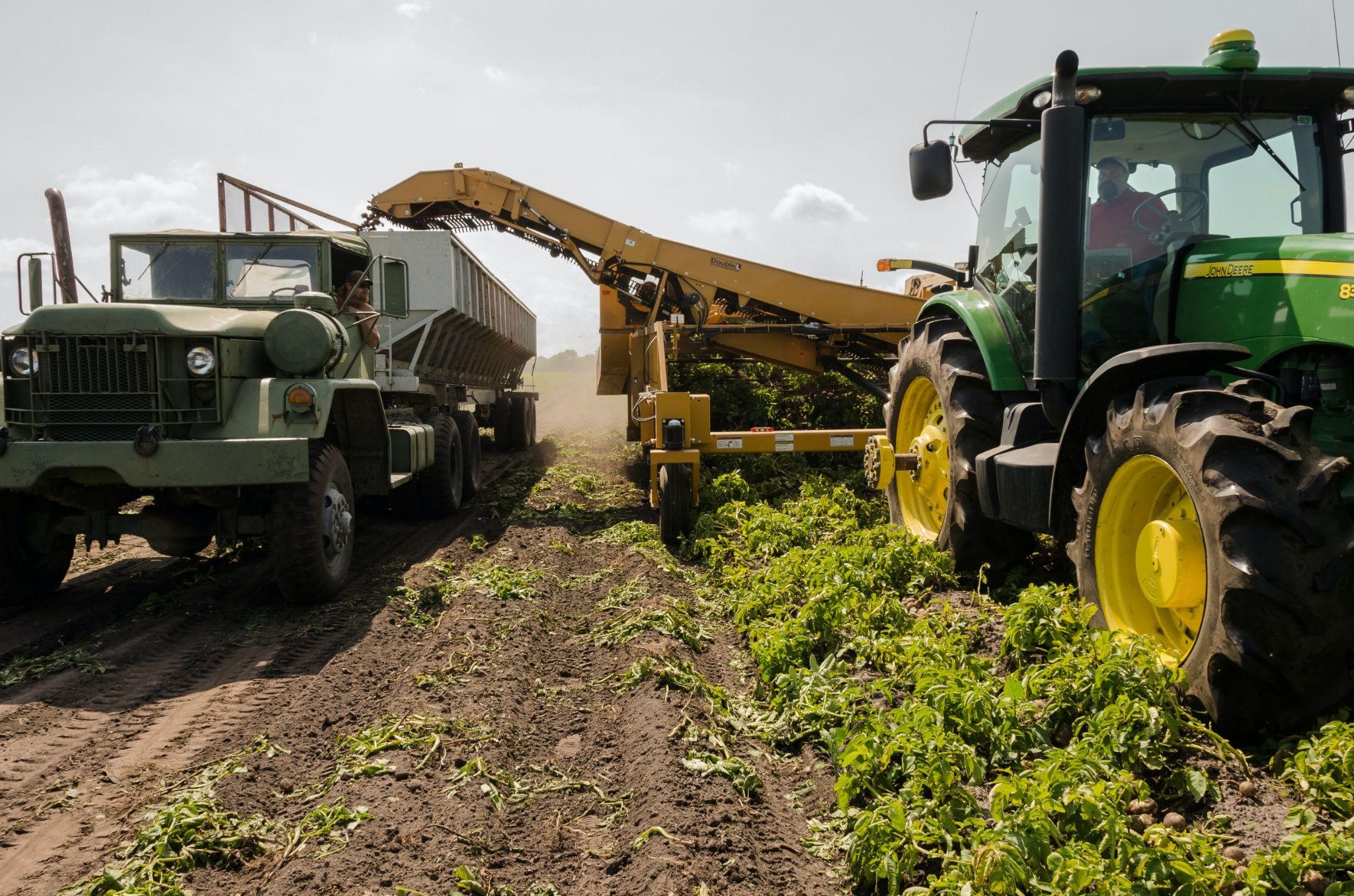 Compliance no agronegócio: pilares, atuação e objetivos